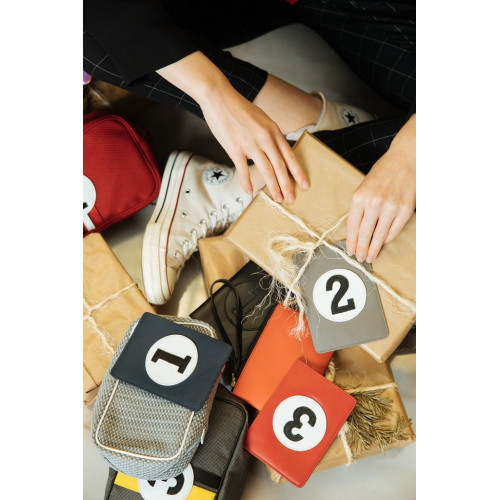 protège passeport en cuir luxe e2r