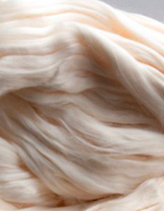 Tout savoir sur le coton